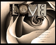 Wall_Art_Alphabet_Photography_Art_ 1382
